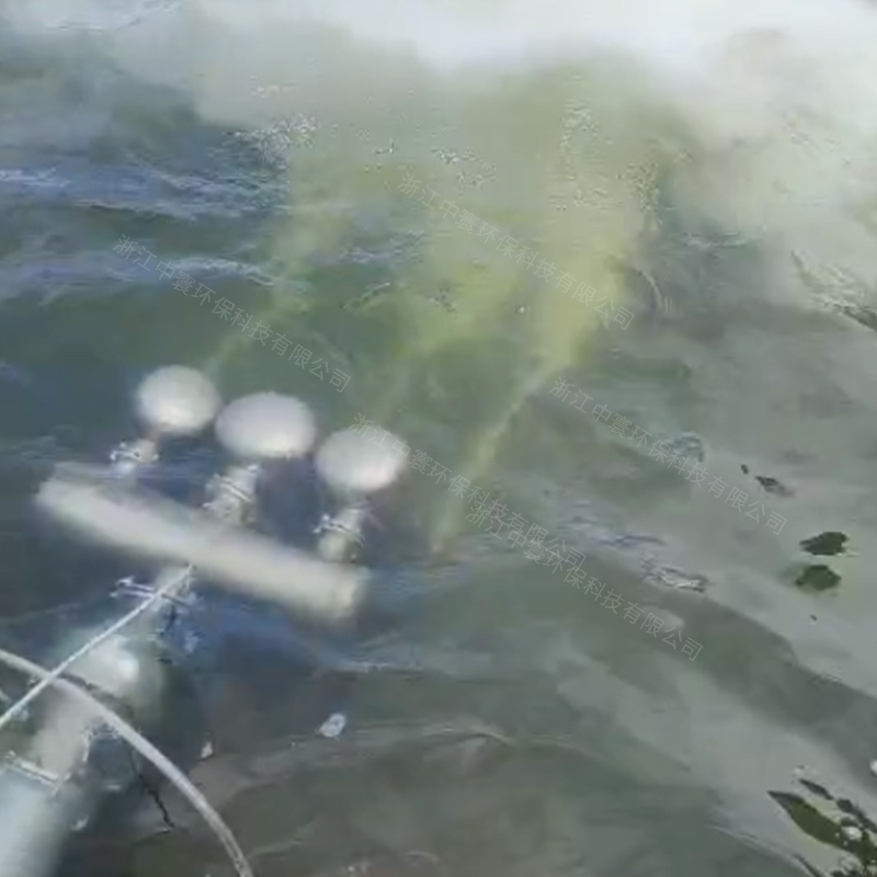 沉水式微纳米曝气机